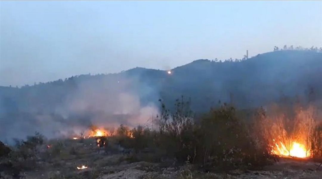 Desciende el número de incendios forestales este verano, un 37% respecto a 2019 Desciende el número de incendios forestales este verano, un 37% respecto a 2019