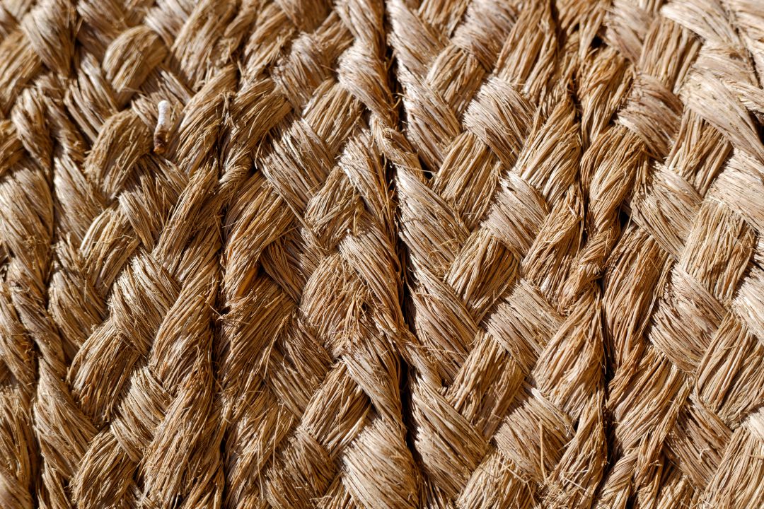 La fibra de esparto podría ser un buen aislante térmico y acústico para los edificios La fibra de esparto podría ser un buen aislante térmico y acústico para los edificios