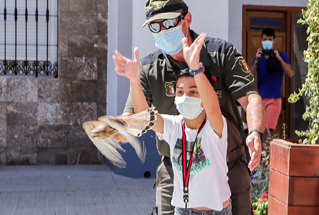 Un niño suelta una cría de cernícalo primilla que han sido puestas en libertad este fin de semana Un niño suelta una cría de cernícalo primilla que han sido puestas en libertad este fin de semana