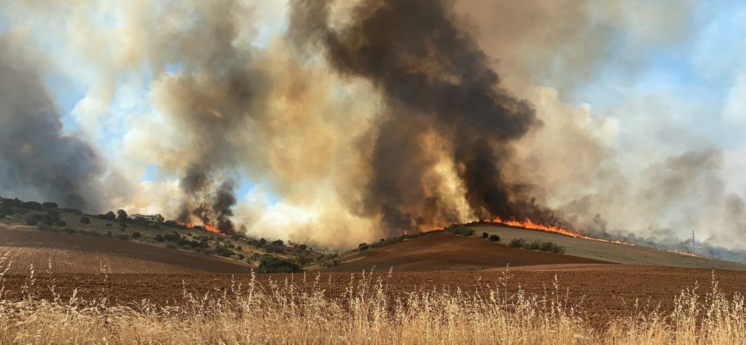 El incendio ha obligado a desalojar dos urbanizaciones El incendio ha obligado a desalojar dos urbanizaciones