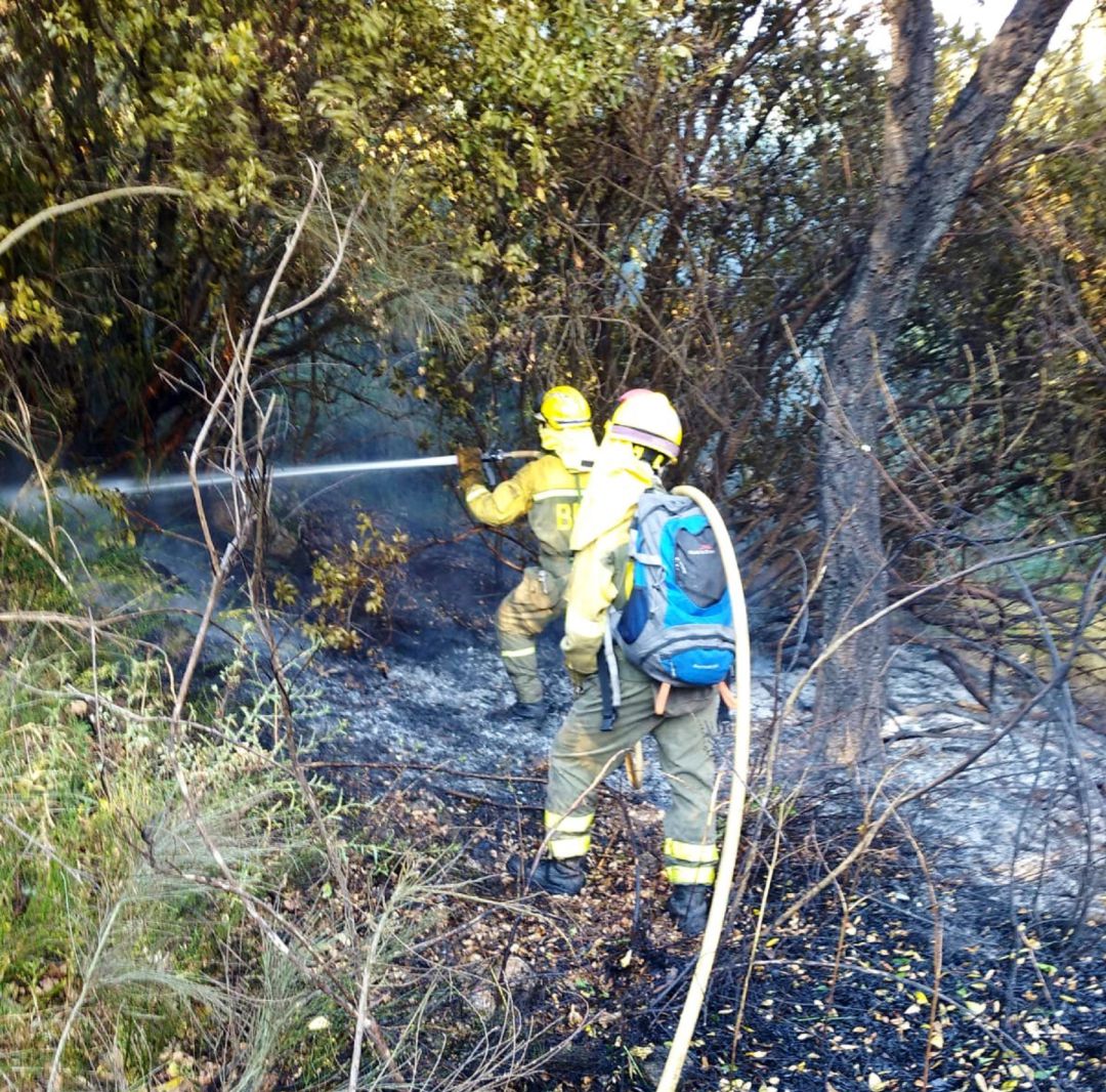 El incendio provocado quemó 52 hectáreas El incendio provocado quemó 52 hectáreas