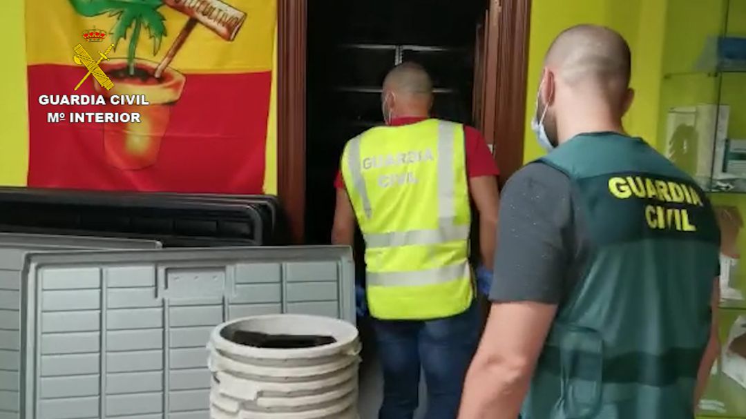 Aprehensión de marihuana en Palencia Aprehensión de marihuana en Palencia