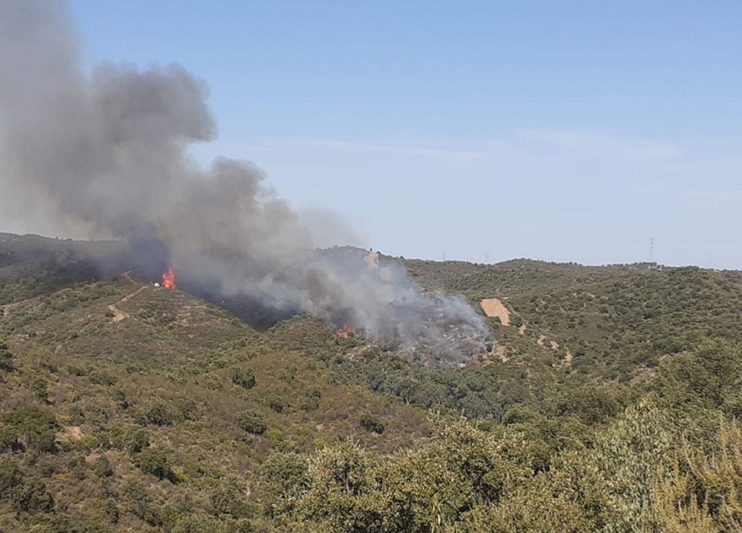 Imagen del incendio forestal en Aznalcóllar Imagen del incendio forestal en Aznalcóllar
