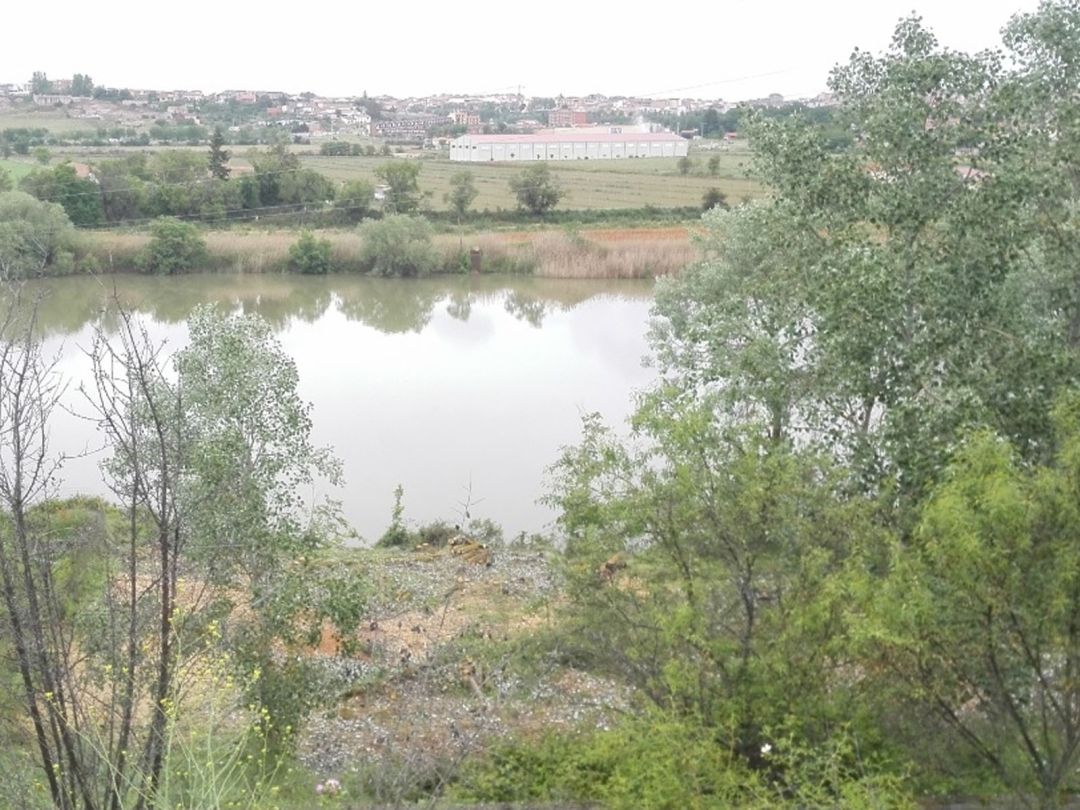 Riberas del río Duero en la zona cercana a Carrascal Riberas del río Duero en la zona cercana a Carrascal