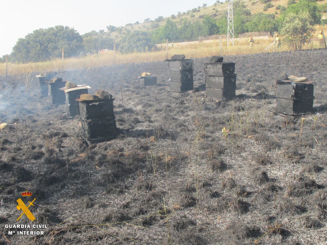 Colmenas calcinadas en el incendio de La Losa Colmenas calcinadas en el incendio de La Losa