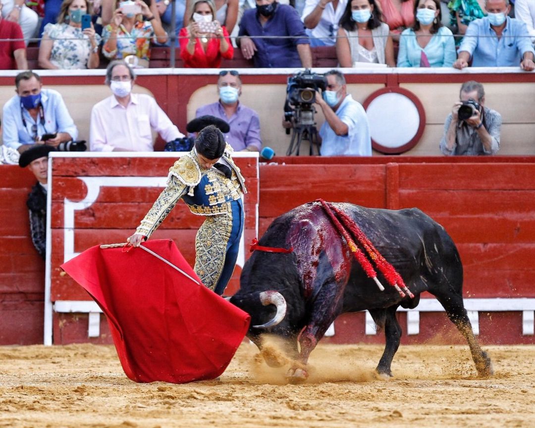 Corrida de toros del 140 aniversario de la plaza de toros de El Puerto
Corrida de toros del 140 aniversario de la plaza de toros de El Puerto
