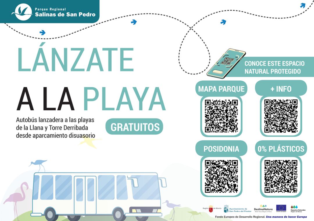 Servicio gratuito de autobuses Servicio gratuito de autobuses