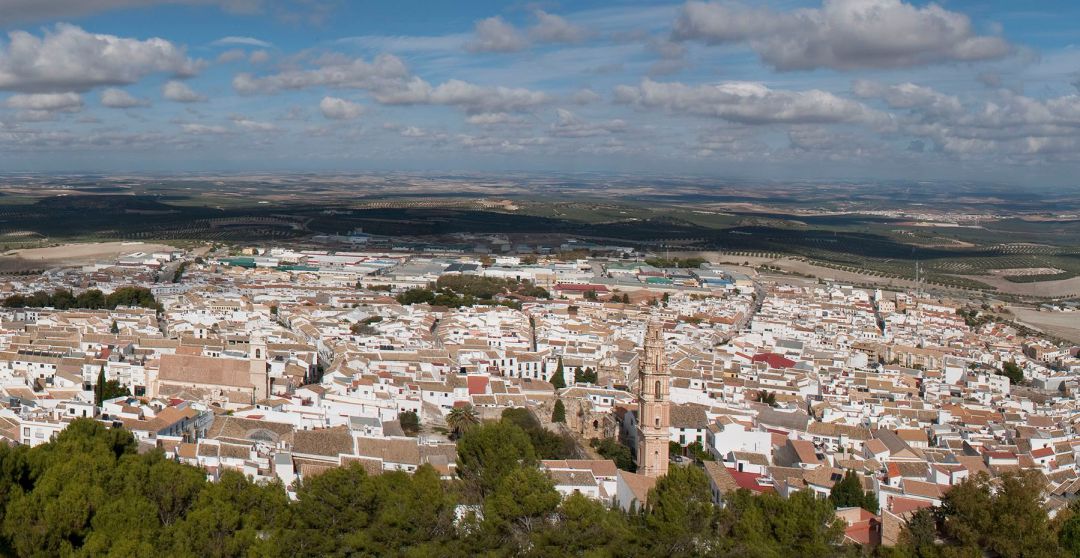 13 jóvenes de un mismo grupo han dado positivo por Covid-19 en Estepa 13 jóvenes de un mismo grupo han dado positivo por Covid-19 en Estepa