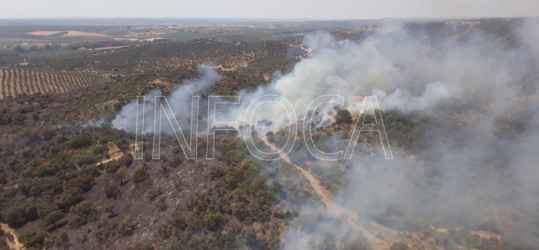 Imagen de un incendio forestal publicado por el Infoca. Imagen de un incendio forestal publicado por el Infoca.
