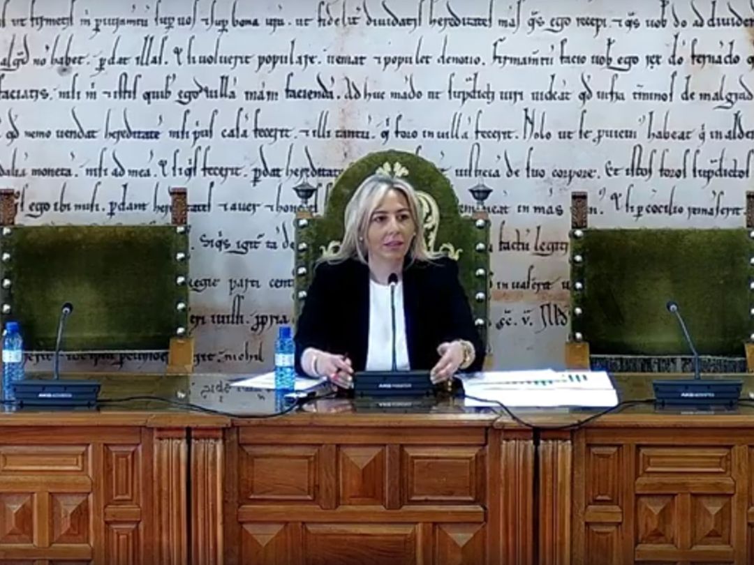 La concejala de Hacienda del Ayuntamiento de Benavente, Patricia Martín La concejala de Hacienda del Ayuntamiento de Benavente, Patricia Martín
