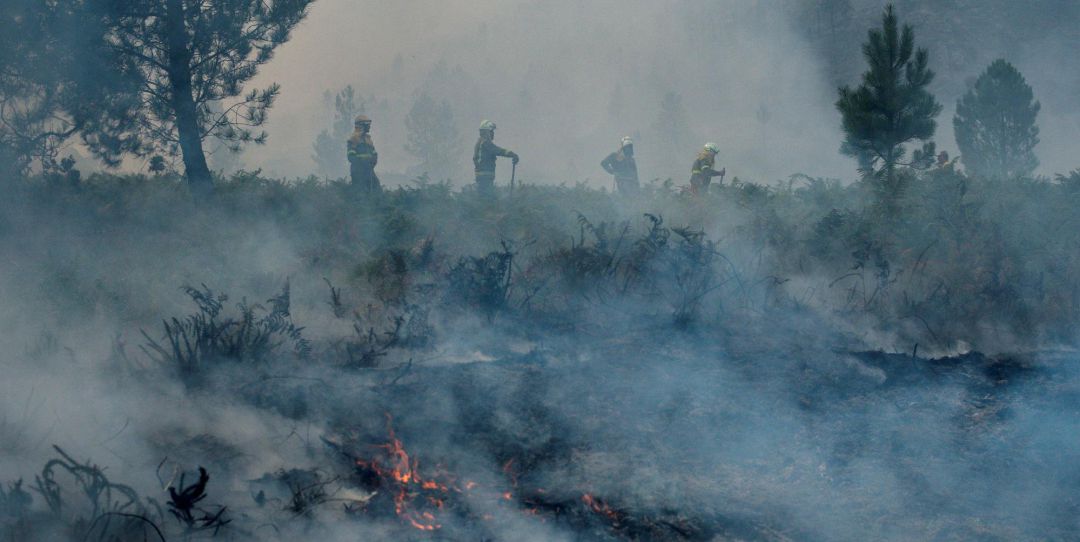 La previsión de lluvias mejora la perspectiva de los servicios de extinción La previsión de lluvias mejora la perspectiva de los servicios de extinción
