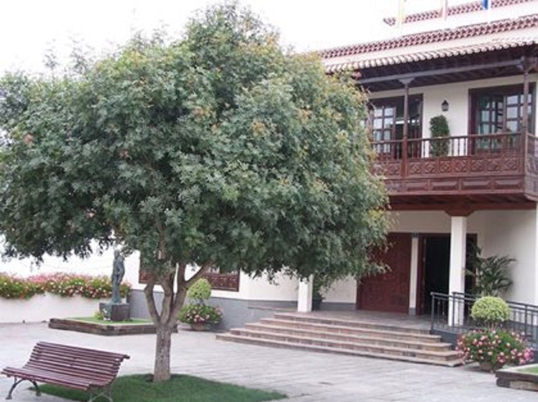 Ayuntamiento de Arona Ayuntamiento de Arona