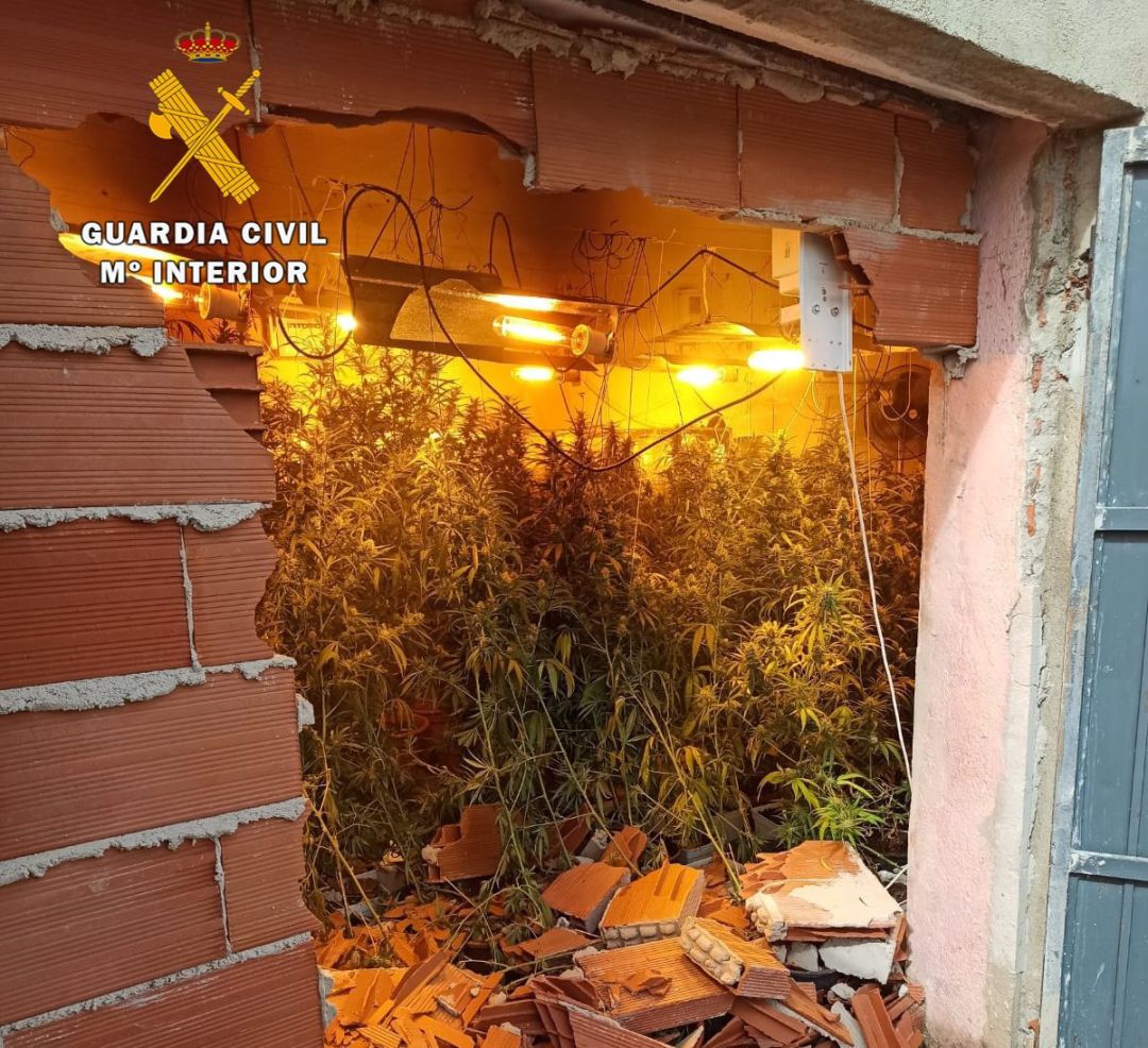 Imagen de la intervención de la Benemérita. Imagen de la intervención de la Benemérita.