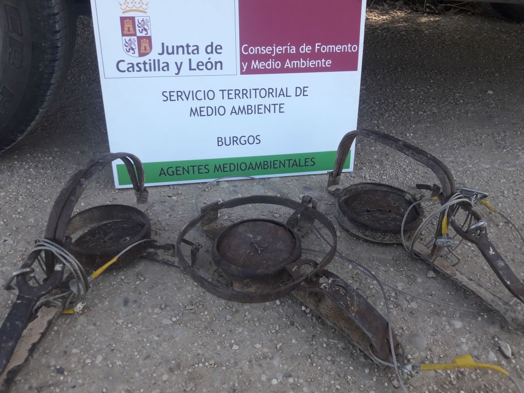 El servicio de Medio Ambiente retiró 3 cepos en Aranda de Duero El servicio de Medio Ambiente retiró 3 cepos en Aranda de Duero