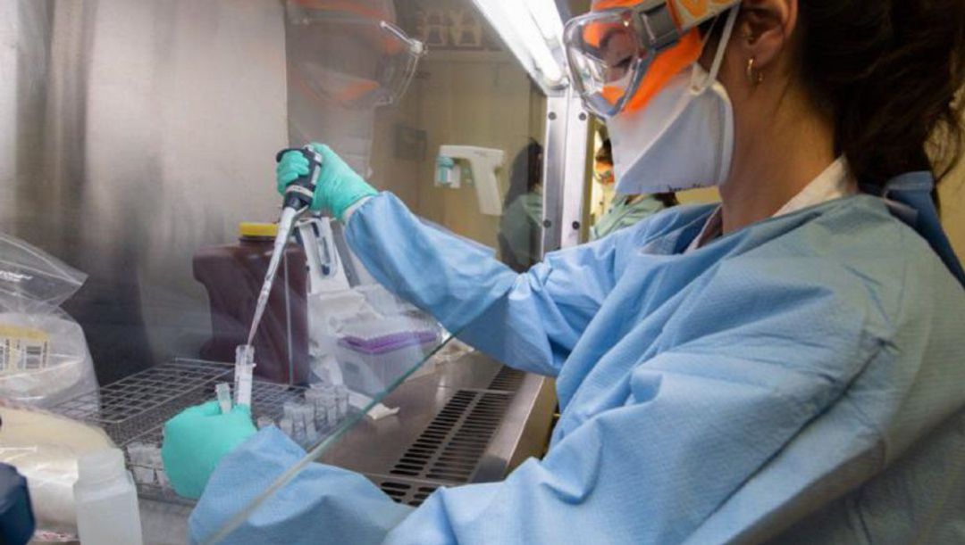 Enfermera analizando unas pruebas en un laboratorio Enfermera analizando unas pruebas en un laboratorio