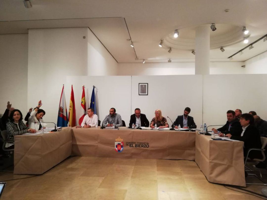 Pleno del Consejo Comarcal Pleno del Consejo Comarcal