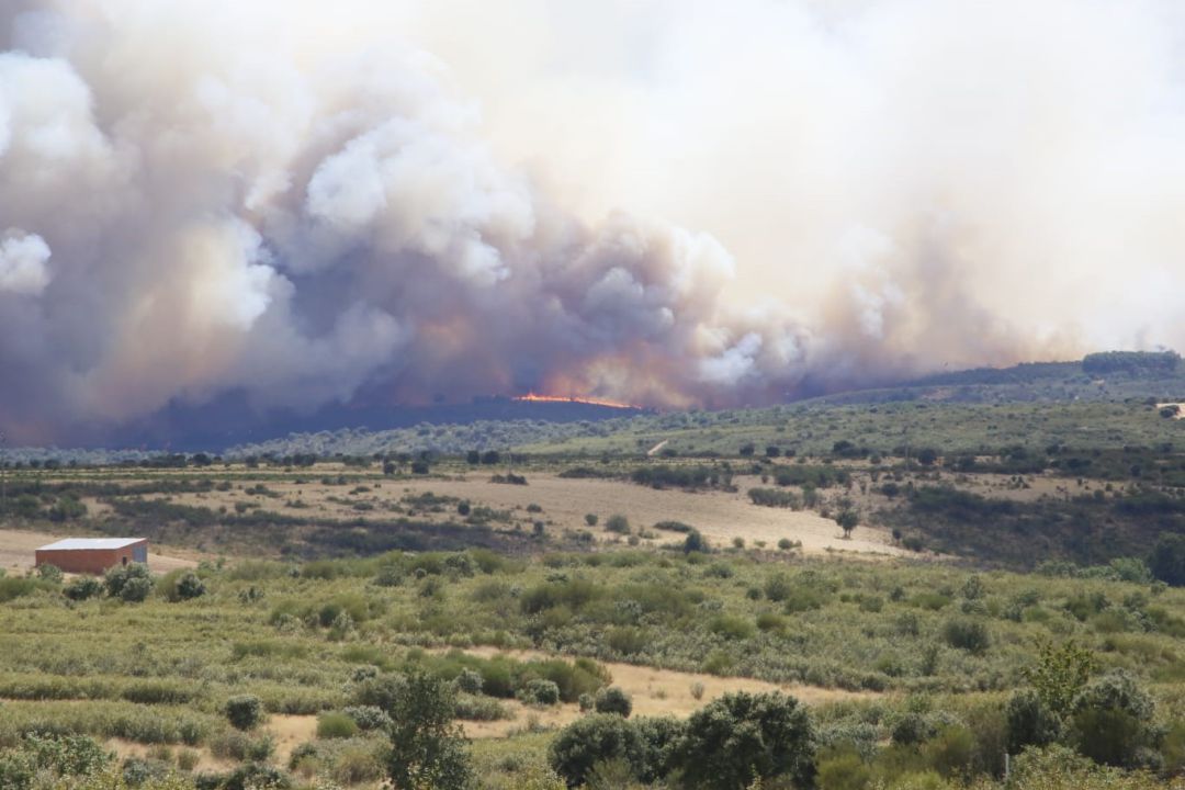 Extenso frente en el incendio de Gallegos del Río Extenso frente en el incendio de Gallegos del Río