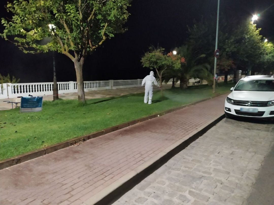 Trabajos de fumigación en las zonas verdes de Coria Trabajos de fumigación en las zonas verdes de Coria
