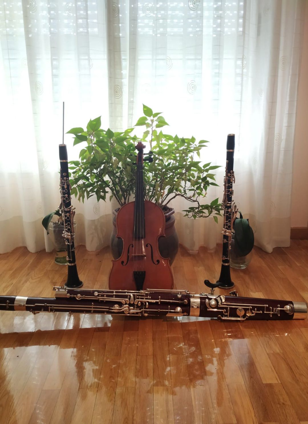 Cuarteto de instrumentos compuesto por clarinete, fagot y viola. Cuarteto de instrumentos compuesto por clarinete, fagot y viola.
