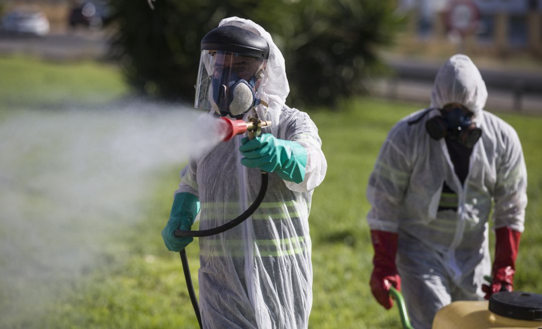 Dos trabajadores durante las labores de fumigación contra los mosquitos causantes del virus del Nilo en la provincia de Sevilla Dos trabajadores durante las labores de fumigación contra los mosquitos causantes del virus del Nilo en la provincia de Sevilla