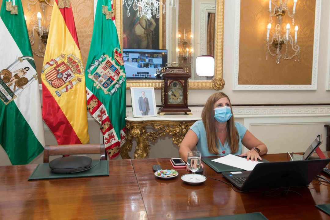 La presidenta de la Diputación de Cádiz, Irene García, en un pleno extraordinario de la institución provincial La presidenta de la Diputación de Cádiz, Irene García, en un pleno extraordinario de la institución provincial