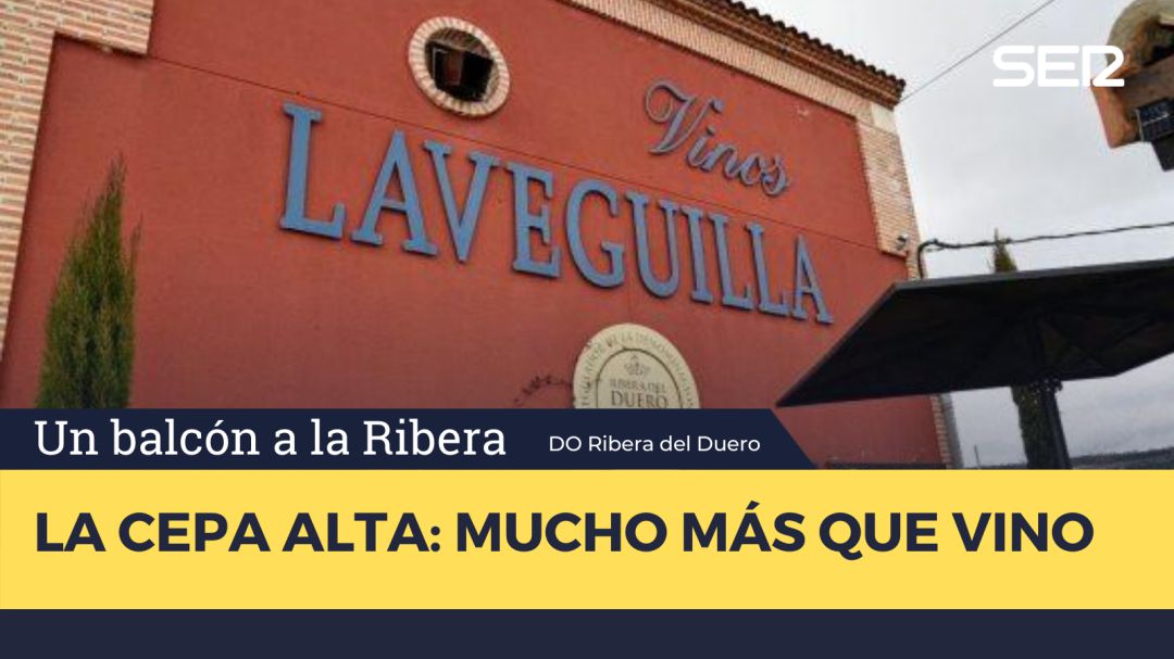 La Cepa Alta La Cepa Alta
