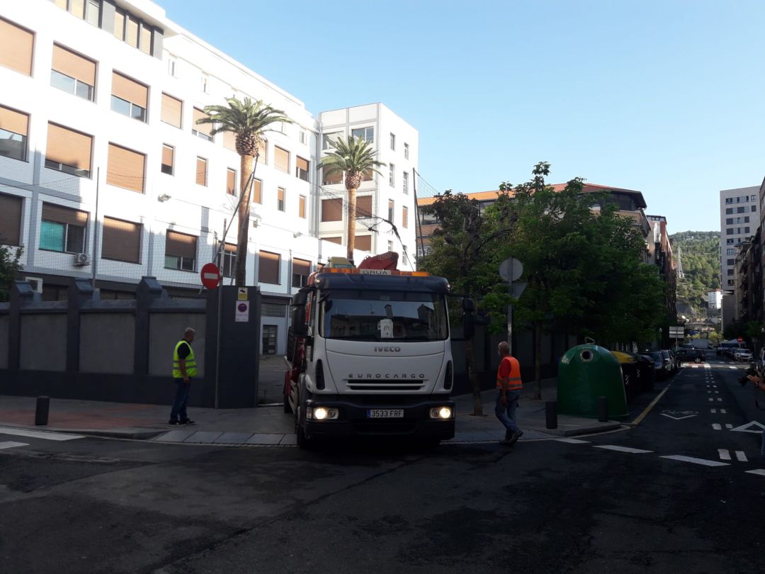 Maquinaria trabajando para la retirada de las dos palmeras centenarias en Abando Maquinaria trabajando para la retirada de las dos palmeras centenarias en Abando
