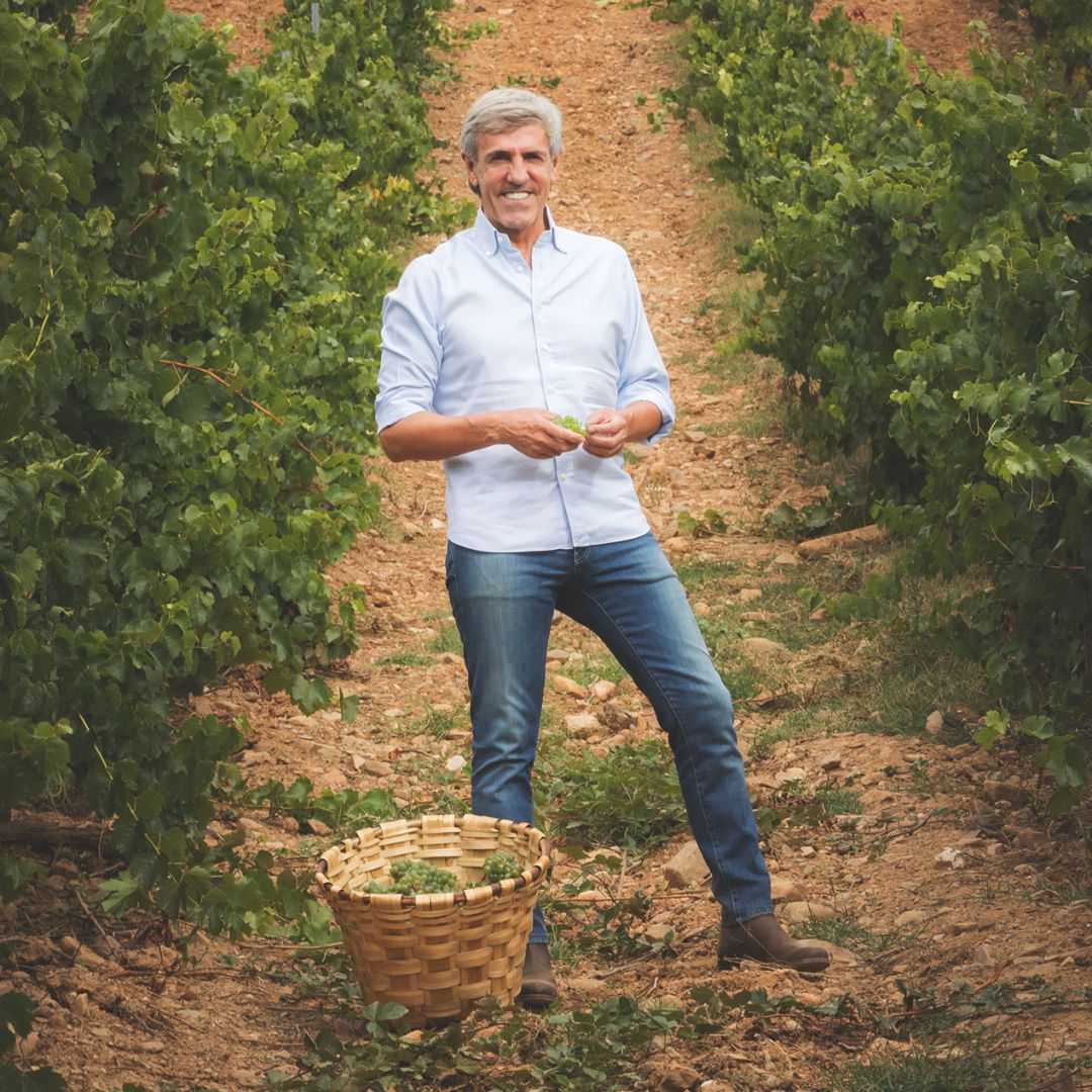 Presidente de la bodega, Emilio Moro Presidente de la bodega, Emilio Moro
