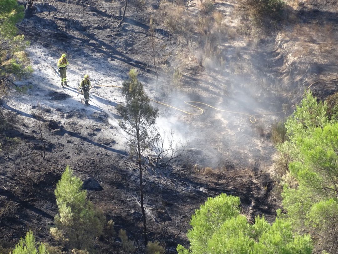 Declaran estabilizado el incendio de la Sierra de la Silla, en Mula Declaran estabilizado el incendio de la Sierra de la Silla, en Mula