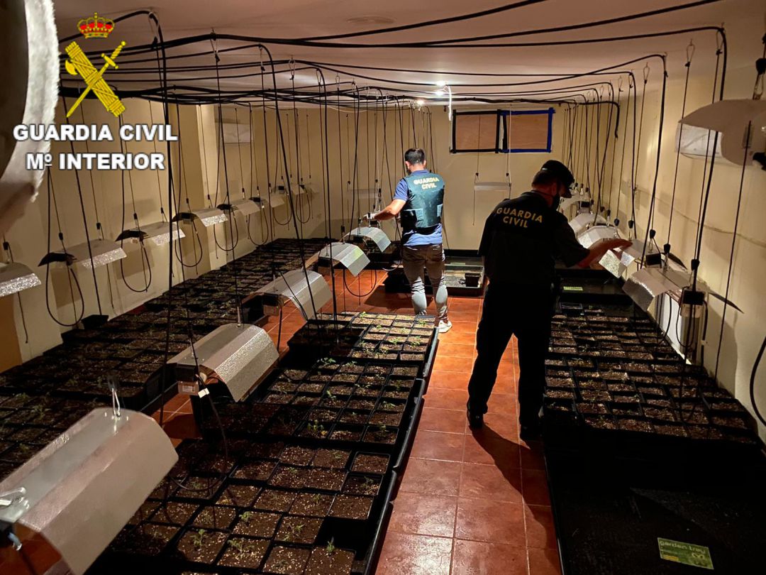 Operación antidroga en Fuentenava de Jábaga Operación antidroga en Fuentenava de Jábaga