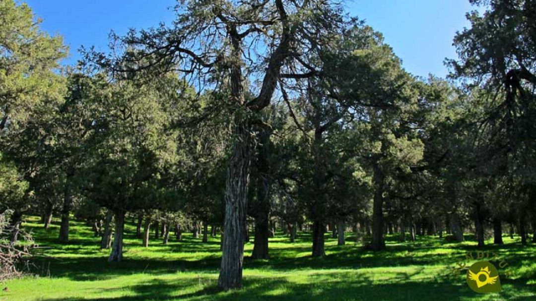 Naturaleza Naturaleza