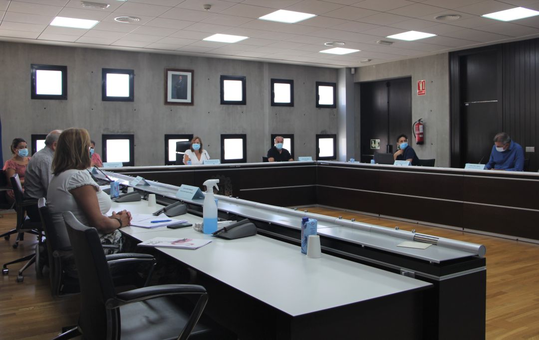 Pleno municipal Pleno municipal