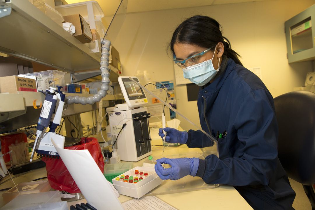 Una investigadora del SARS-CoV-2, en un laboratorio. Una investigadora del SARS-CoV-2, en un laboratorio.