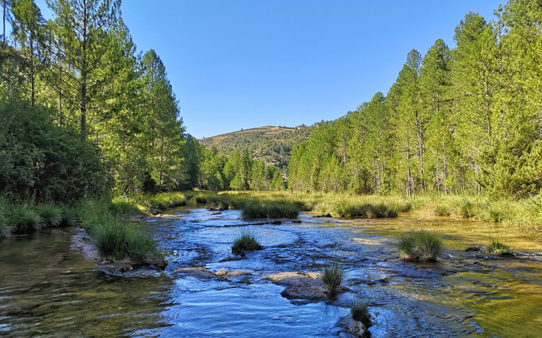 La ruta parte desde el río Escabas en Poyatos (Cuenca). La ruta parte desde el río Escabas en Poyatos (Cuenca).