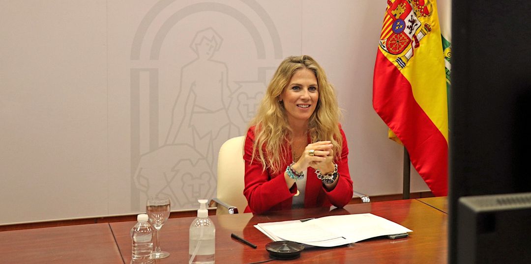 Ana Mestre, delegada territorial de la Junta en Cádiz Ana Mestre, delegada territorial de la Junta en Cádiz