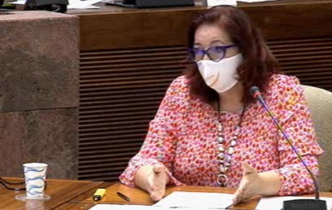 La consejera Educación del Gobierno de Canarias, Manuela Armas, ha comparecido en la comisión de Educación del Parlamento de Canarias La consejera Educación del Gobierno de Canarias, Manuela Armas, ha comparecido en la comisión de Educación del Parlamento de Canarias