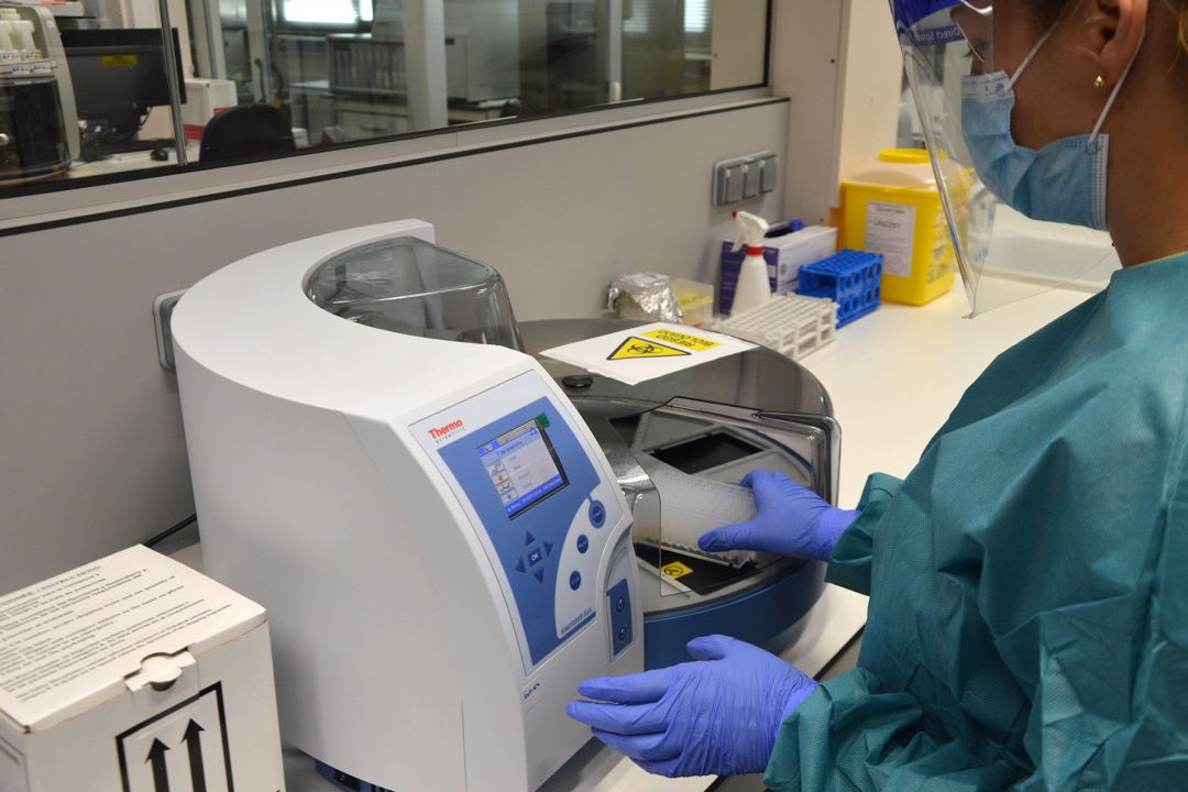 Realización de pruebas PCR Realización de pruebas PCR