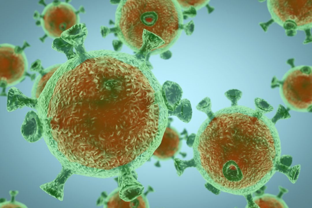 Coronavirus Coronavirus