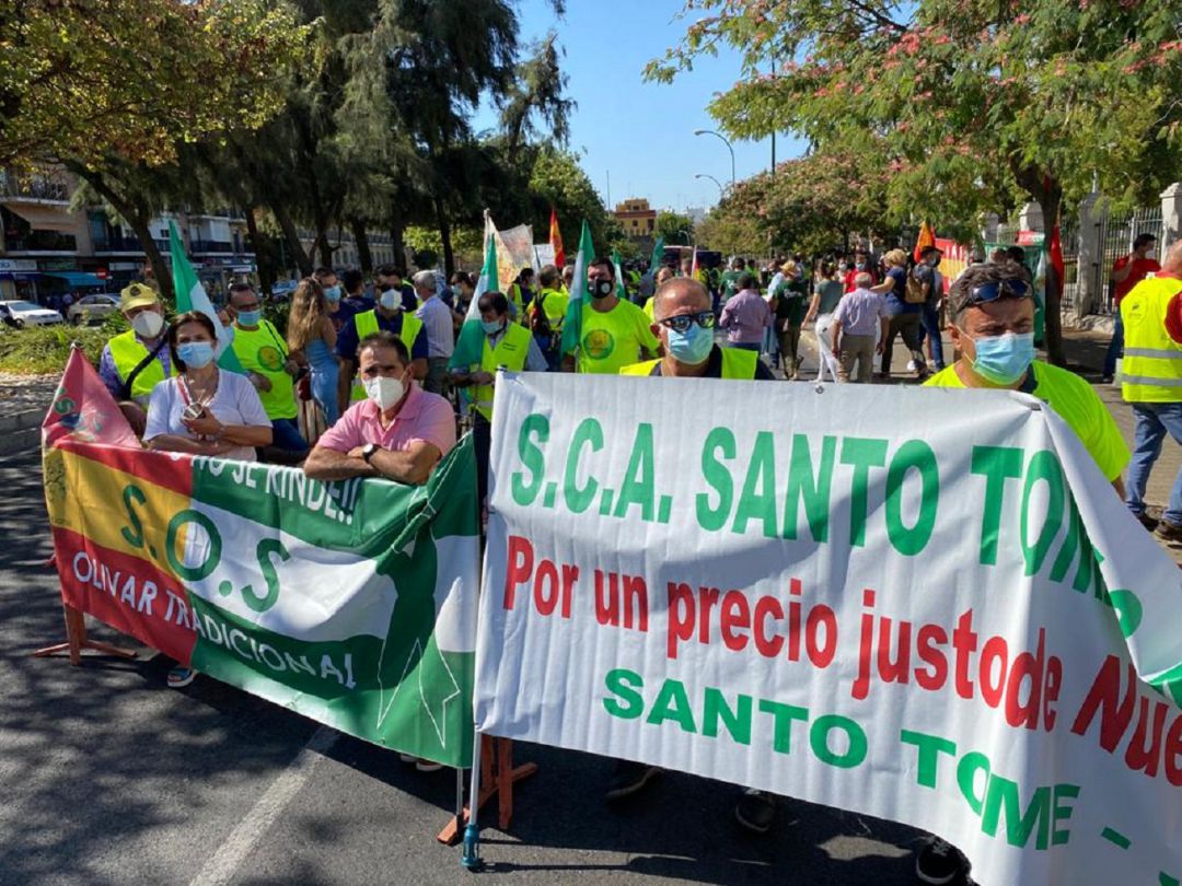 Cientos de agricultores de la Proncia de Jaén se han concentrado ante el Parlamento Andaluz bajo el paraguas de ASOLITE Cientos de agricultores de la Proncia de Jaén se han concentrado ante el Parlamento Andaluz bajo el paraguas de ASOLITE