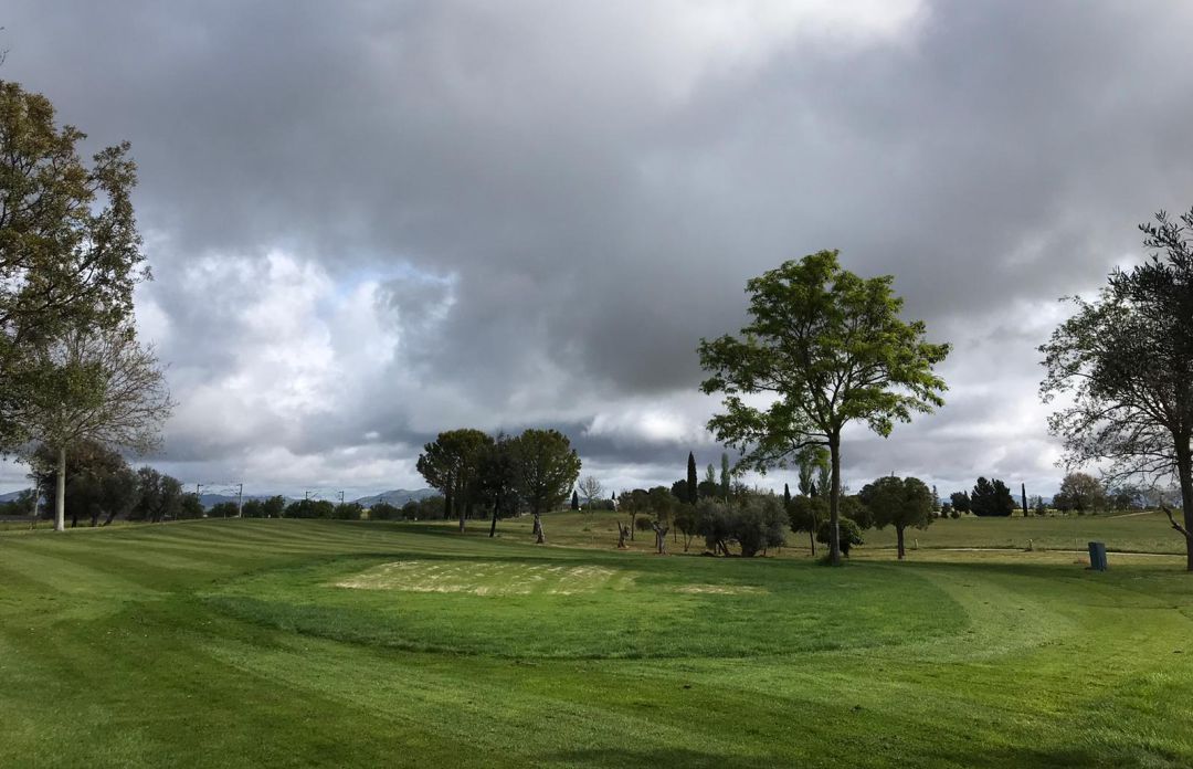 Campo de golf Campo de golf