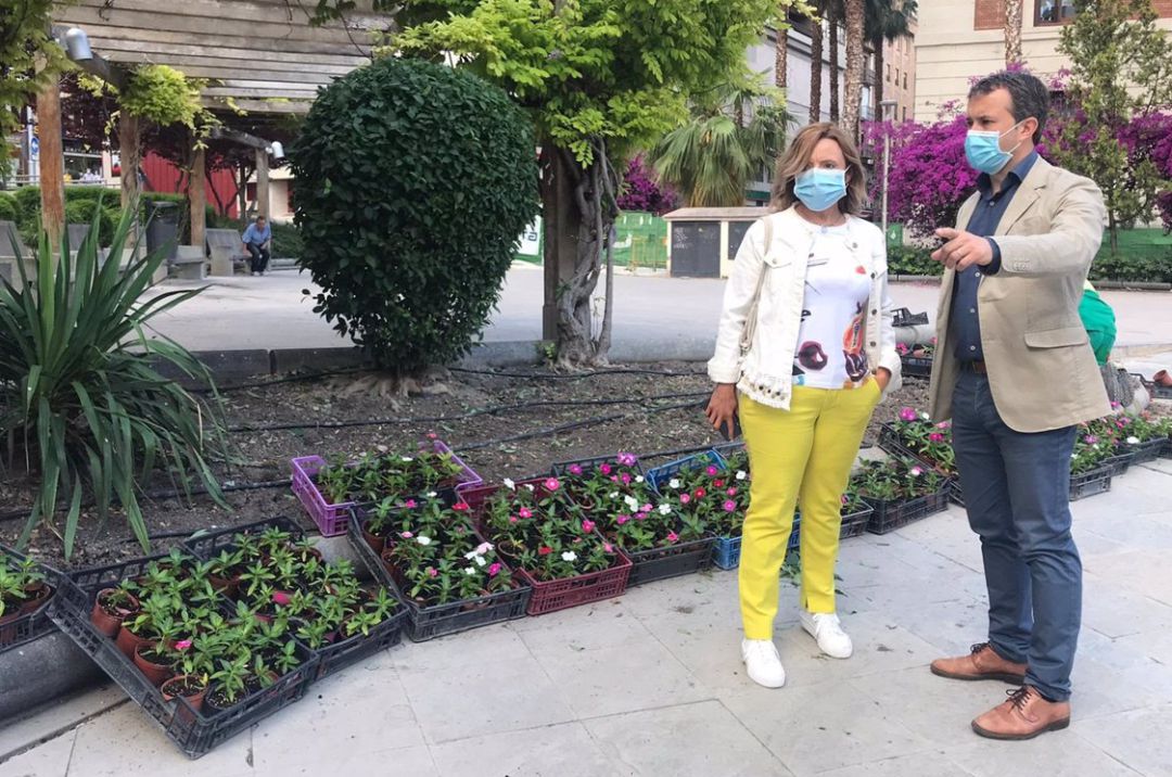 La concejala de Agricultura, Medio Ambiente y Sostenibilidad, María del Carmen Angulo, y el alcalde de Jaén, Julio Millán, en los jardines de la Plaza de la Constitución. La concejala de Agricultura, Medio Ambiente y Sostenibilidad, María del Carmen Angulo, y el alcalde de Jaén, Julio Millán, en los jardines de la Plaza de la Constitución.