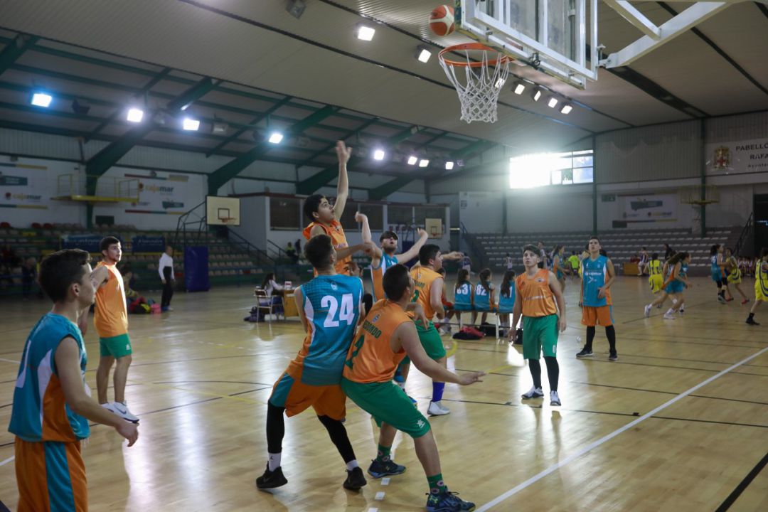 Los deportistas almerienses volverán a competir. Los deportistas almerienses volverán a competir.