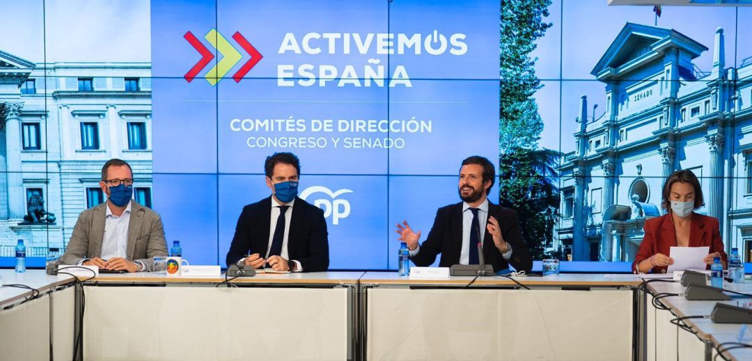 El presidente del PP, Pablo Casado, preside la reunión con los comités de dirección del Grupo Popular. El presidente del PP, Pablo Casado, preside la reunión con los comités de dirección del Grupo Popular.