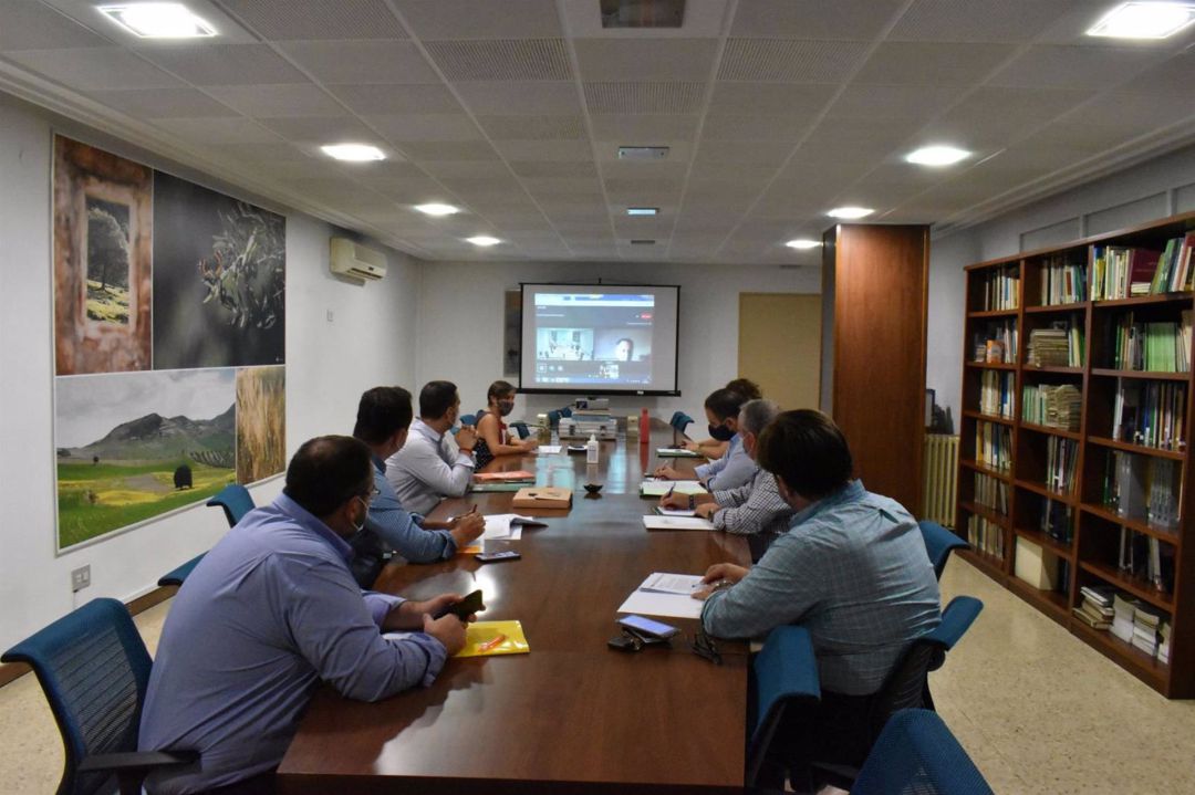 Reunión de información sobre la campaña de la aceituna. Reunión de información sobre la campaña de la aceituna.