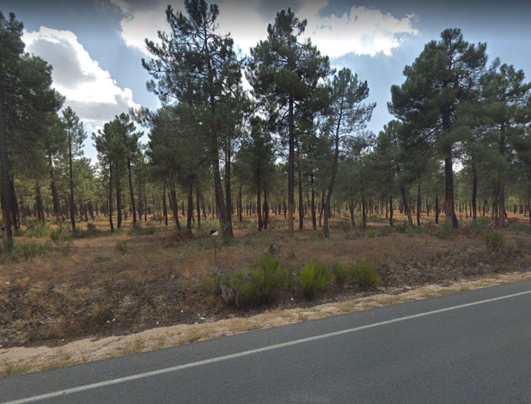 Pinares de Juarros de Voltoya donde se han producido los hechos Pinares de Juarros de Voltoya donde se han producido los hechos