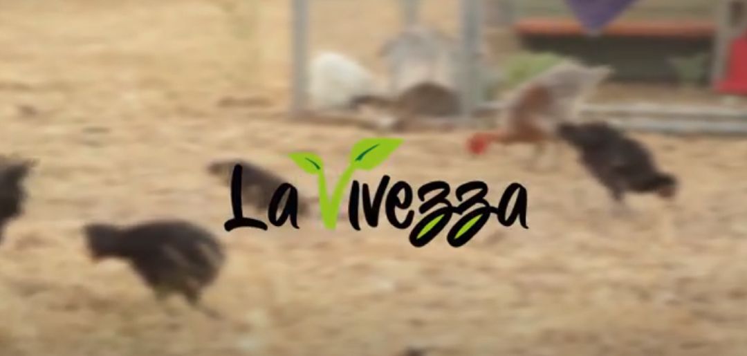 Logo de La Vivezza. Logo de La Vivezza.