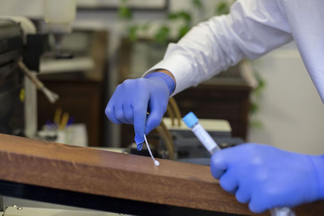 Prueba PCR Prueba PCR