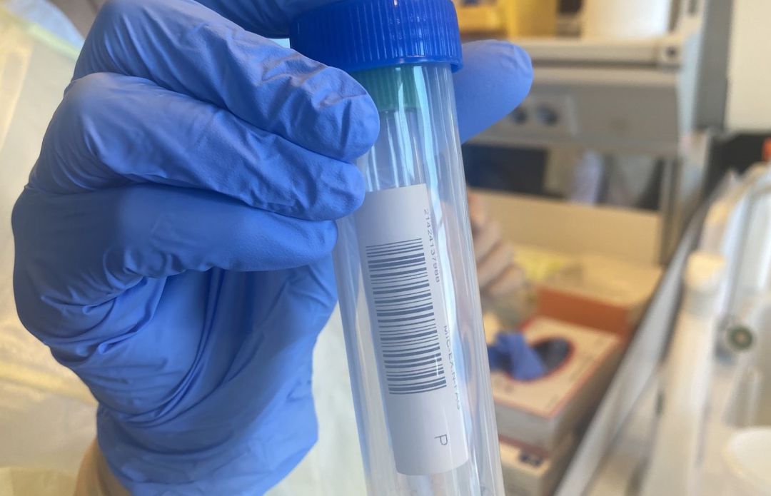 Un sanitario durante la realización de una prueba PCR. Un sanitario durante la realización de una prueba PCR.