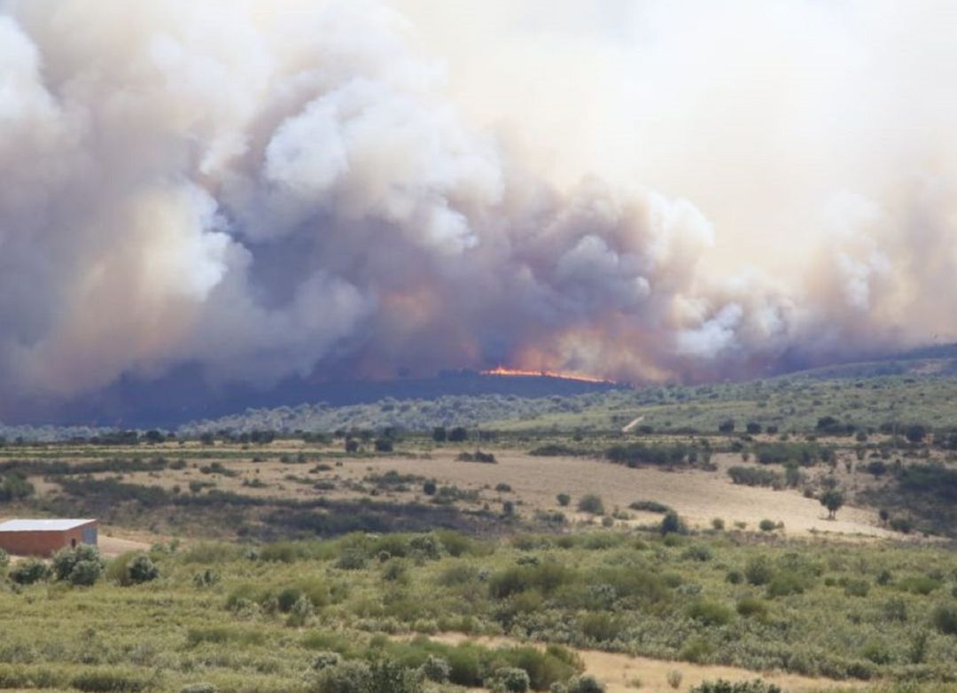 Imagen de un incendio forestal en Zamora Imagen de un incendio forestal en Zamora