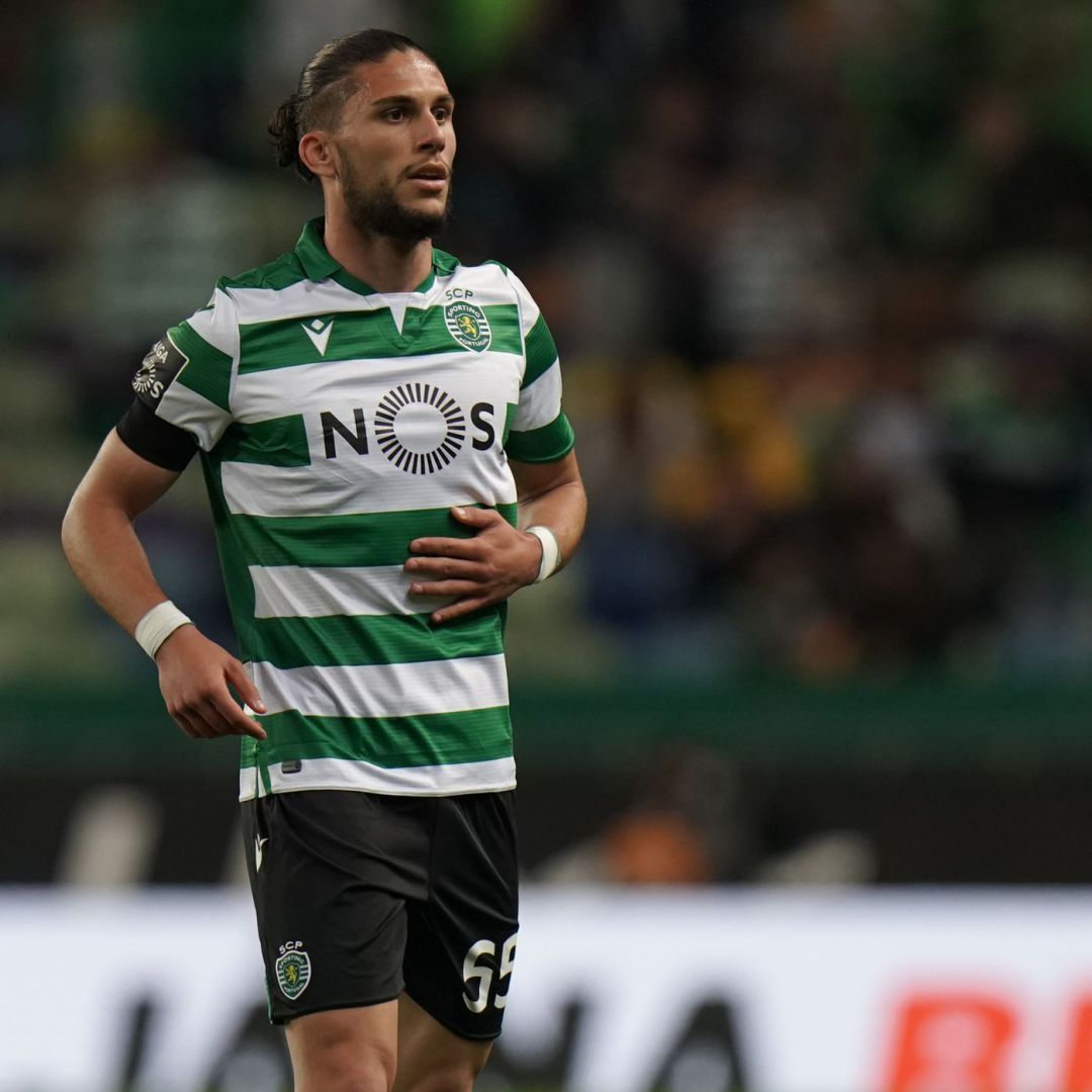 Pedro Mendes llega del Sporting de Portugal. Pedro Mendes llega del Sporting de Portugal.